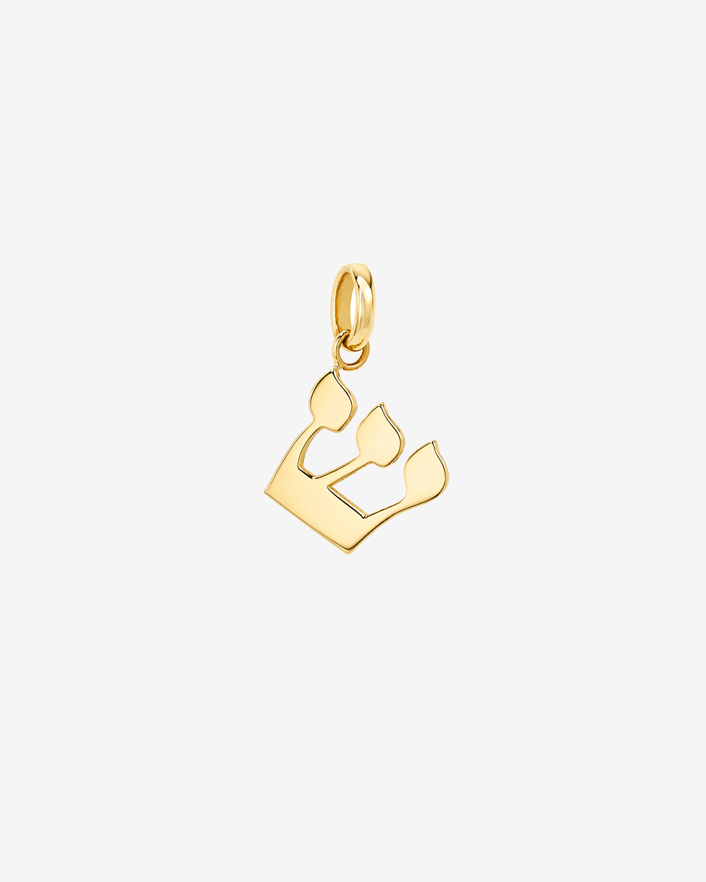 14K Gold Hebrew Initial Pendant Personalized Zoe Lev Jewelry