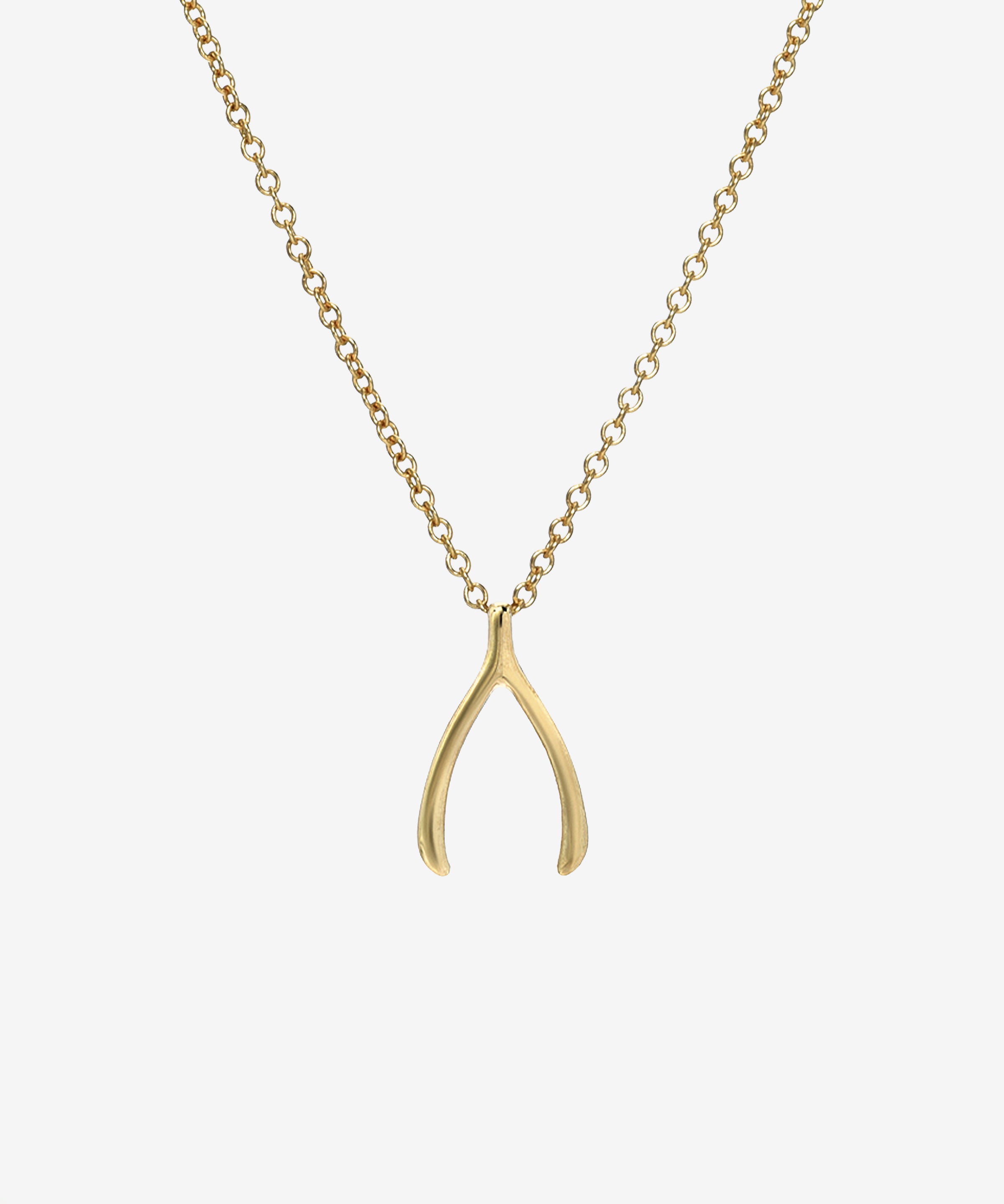 14k Gold Wishbone Necklace Zoe Lev Jewelry