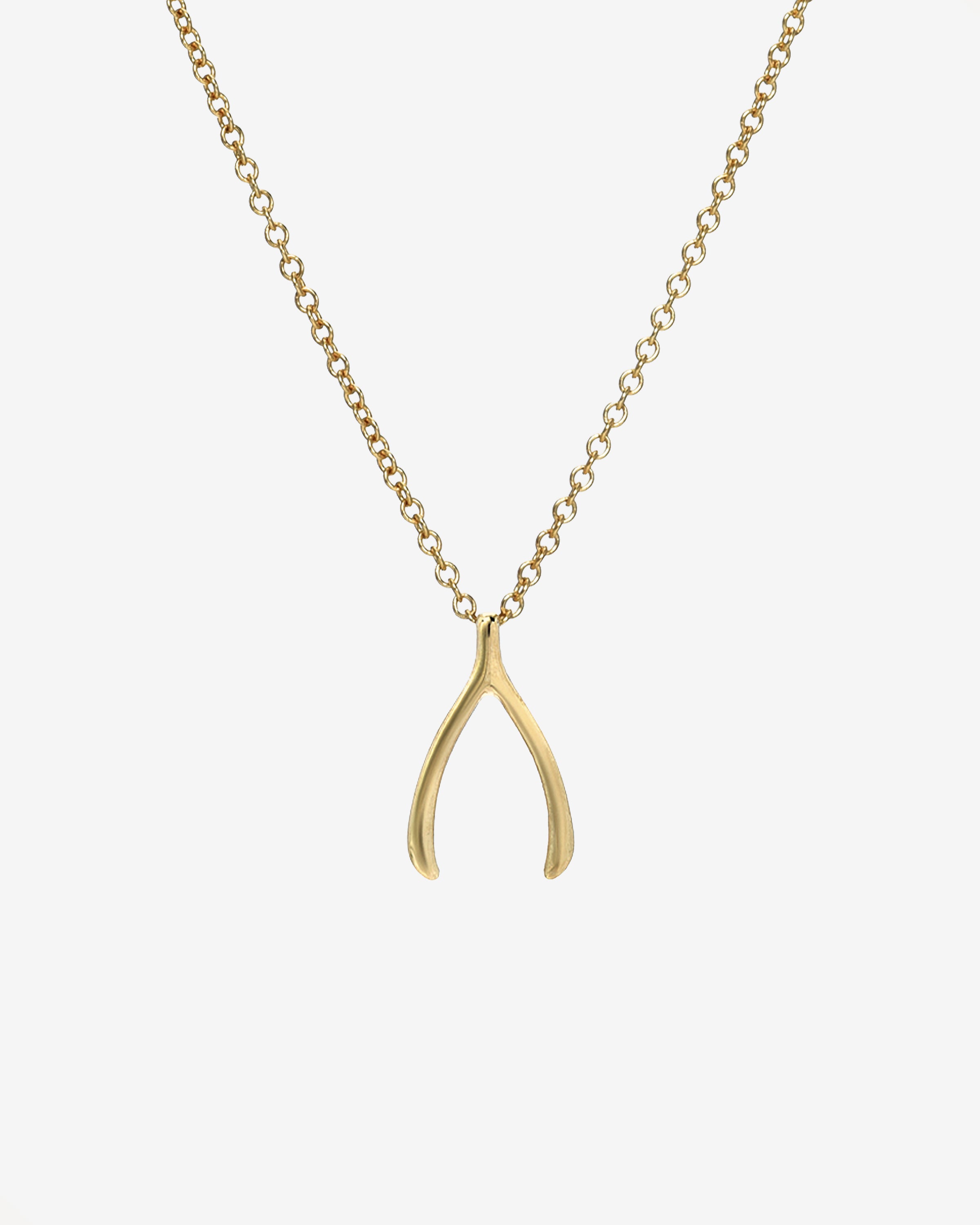 14k Gold Wishbone Necklace Zoe Lev Jewelry