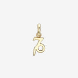 14k Gold Zodiac Pendant