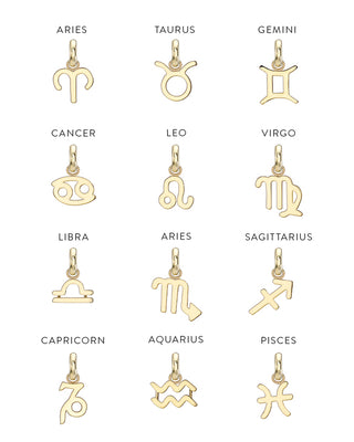 14k Gold Zodiac Necklace