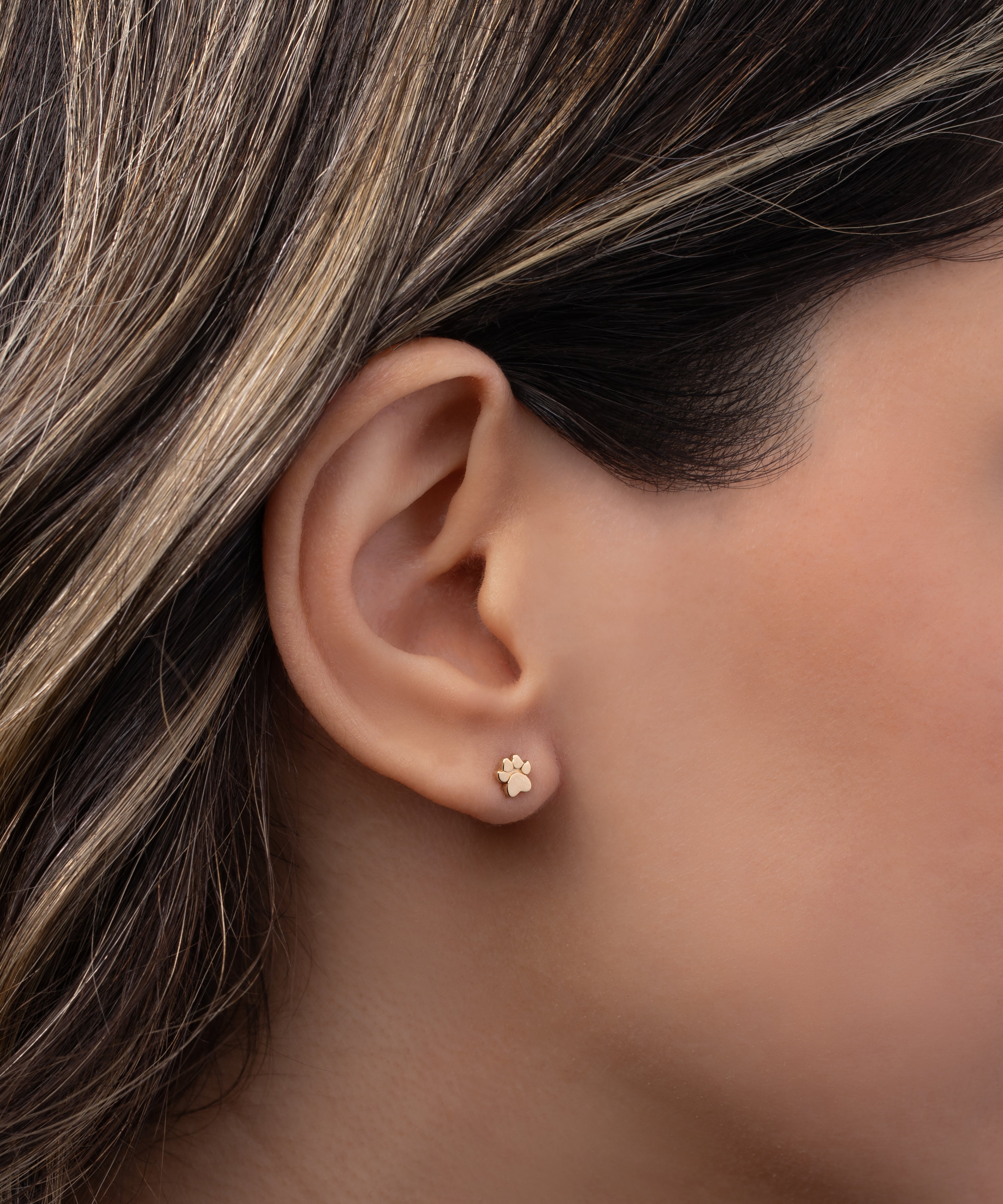 14k Gold Tiny Paw Stud Earring Zoe Lev Jewelry