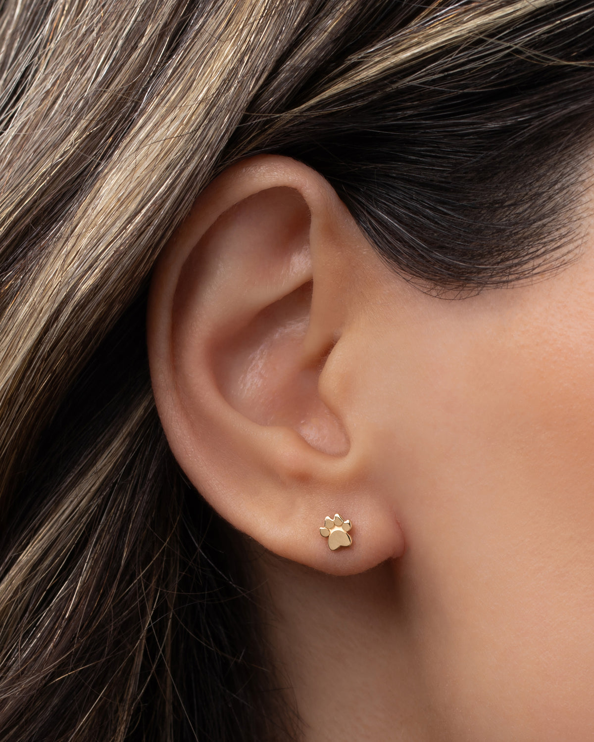 14k Gold Tiny Paw Stud Earring