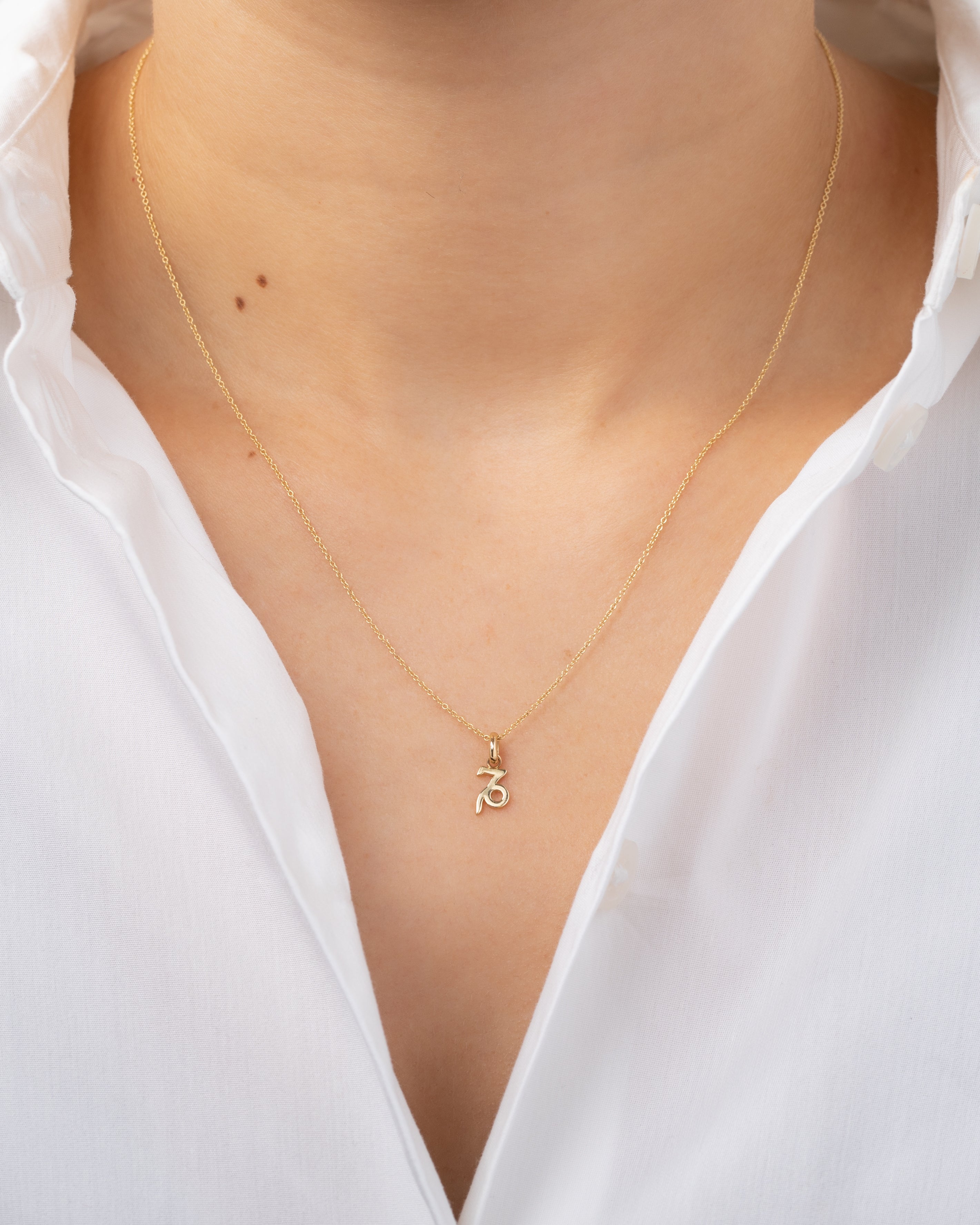 14k Gold Zodiac Necklace Personalized Zoe Lev Jewelry