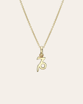 14k Gold Zodiac Necklace