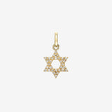 Diamond Open Star of David Pendant Zoe Lev Jewelry