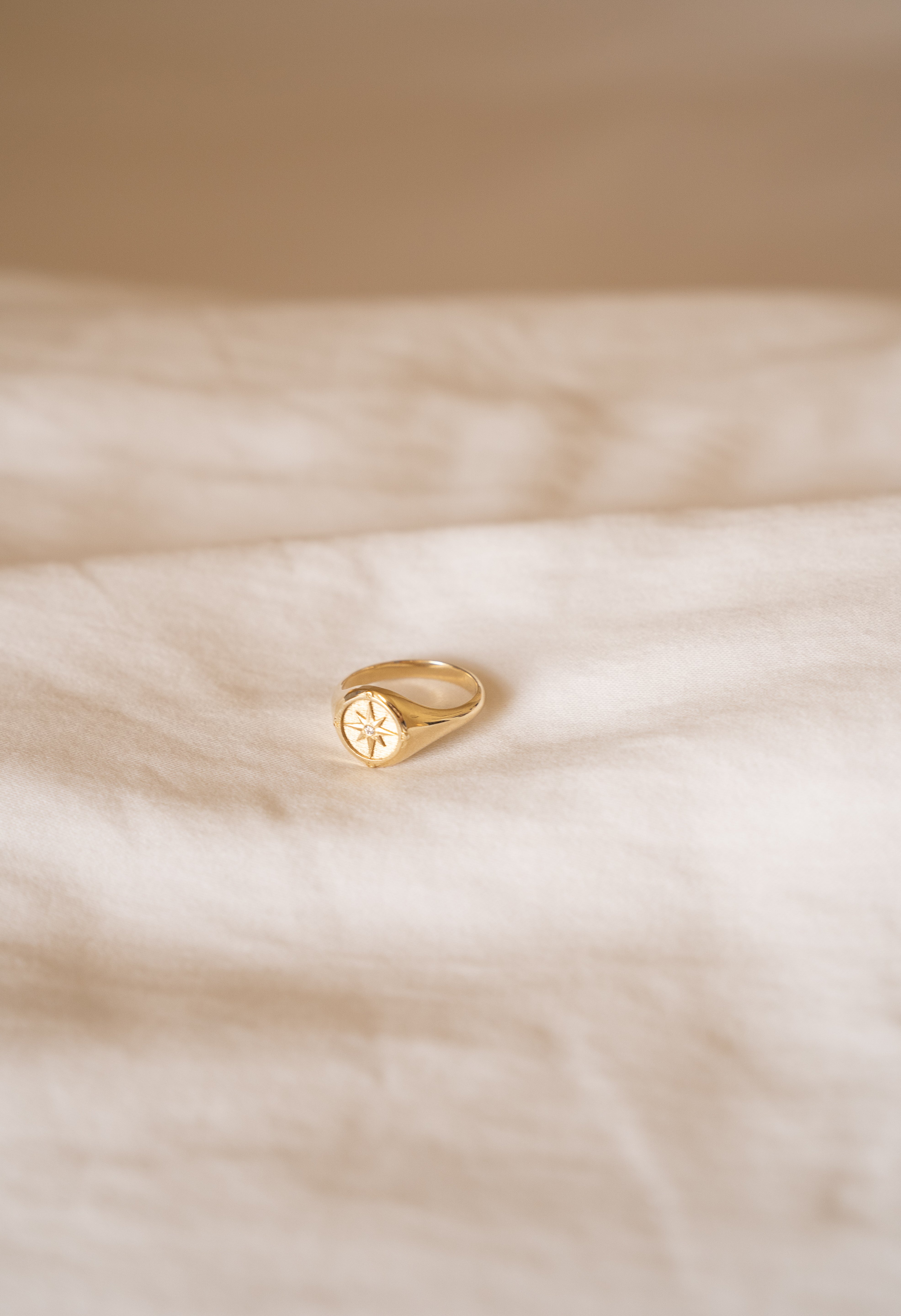 14k Gold Diamond Compass Signet Ring Ring Zoe Lev Jewelry