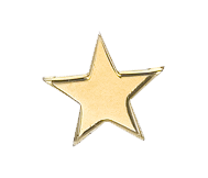 Add Initials & Charms - Standard Size OPTIONS_HIDDEN_PRODUCT Zoe Lev Jewelry 14K Gold Star