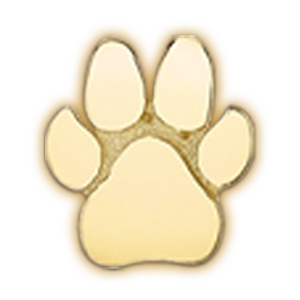 Add Initials & Charms - Standard Size OPTIONS_HIDDEN_PRODUCT Zoe Lev Jewelry 14K Gold Paw