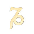 Add Initials & Charms - Standard Size OPTIONS_HIDDEN_PRODUCT Zoe Lev Jewelry 14K Gold Zodiac
