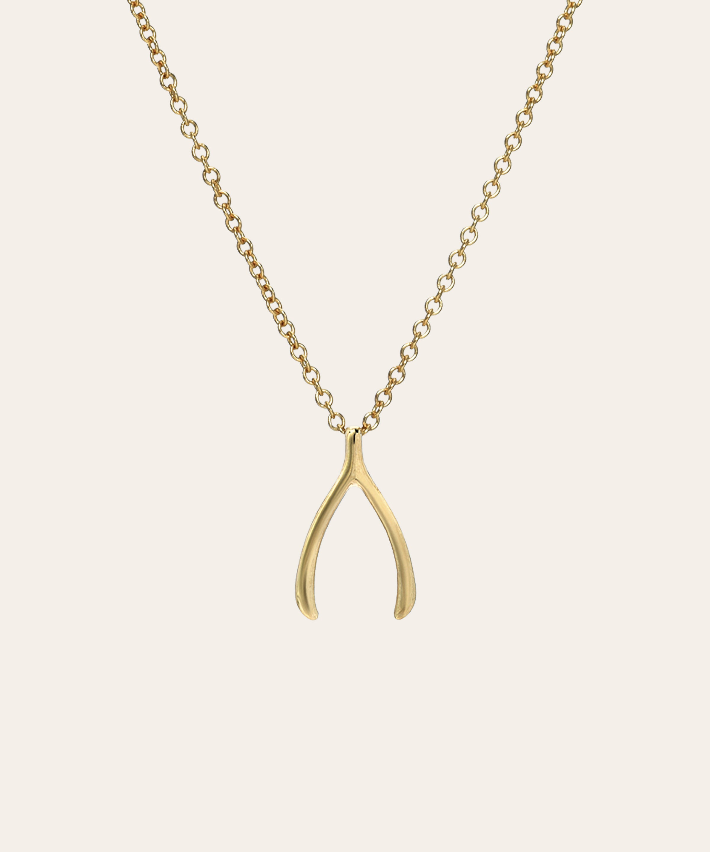 14k Gold Wishbone Necklace Zoe Lev Jewelry