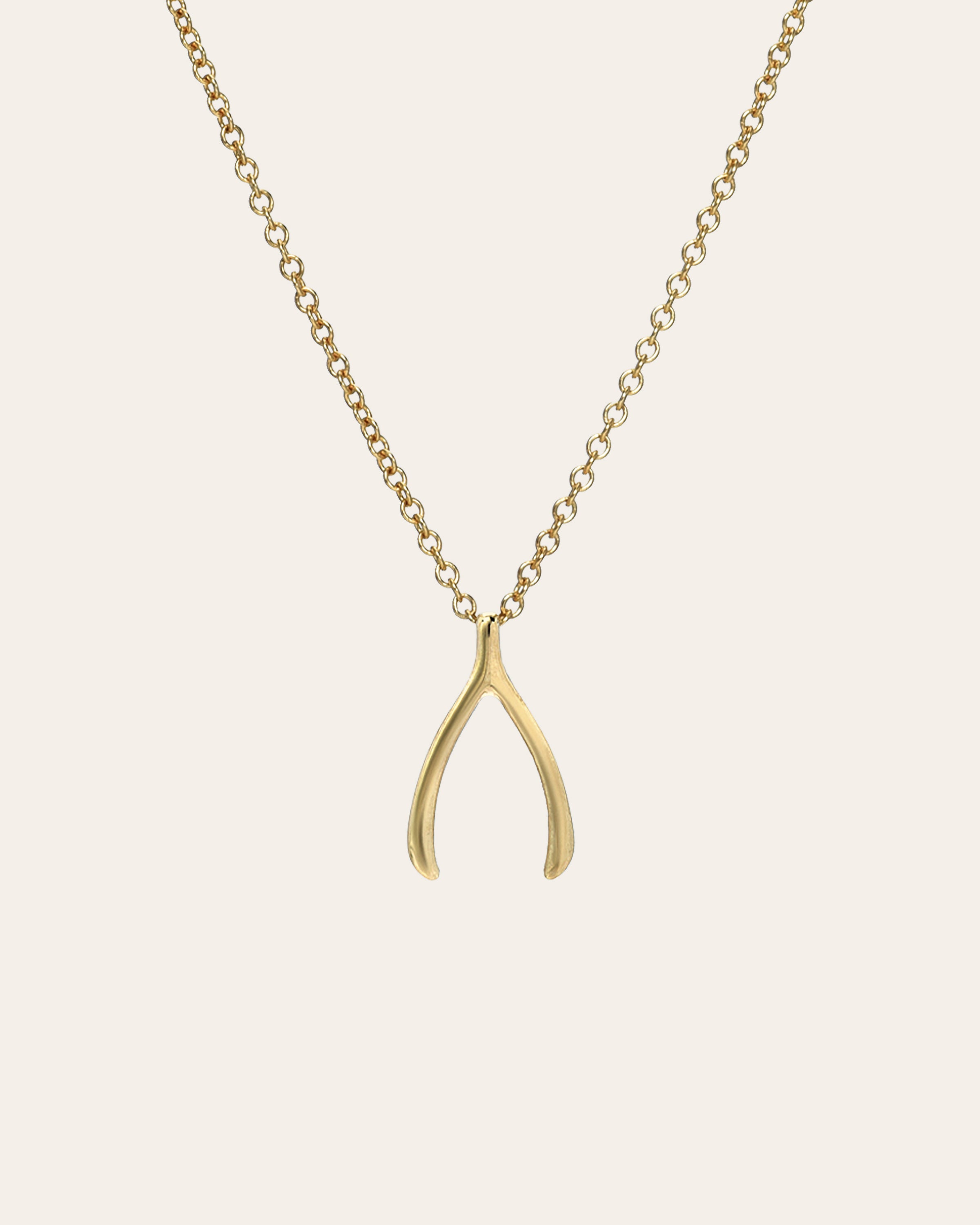 14k Gold Wishbone Necklace Zoe Lev Jewelry
