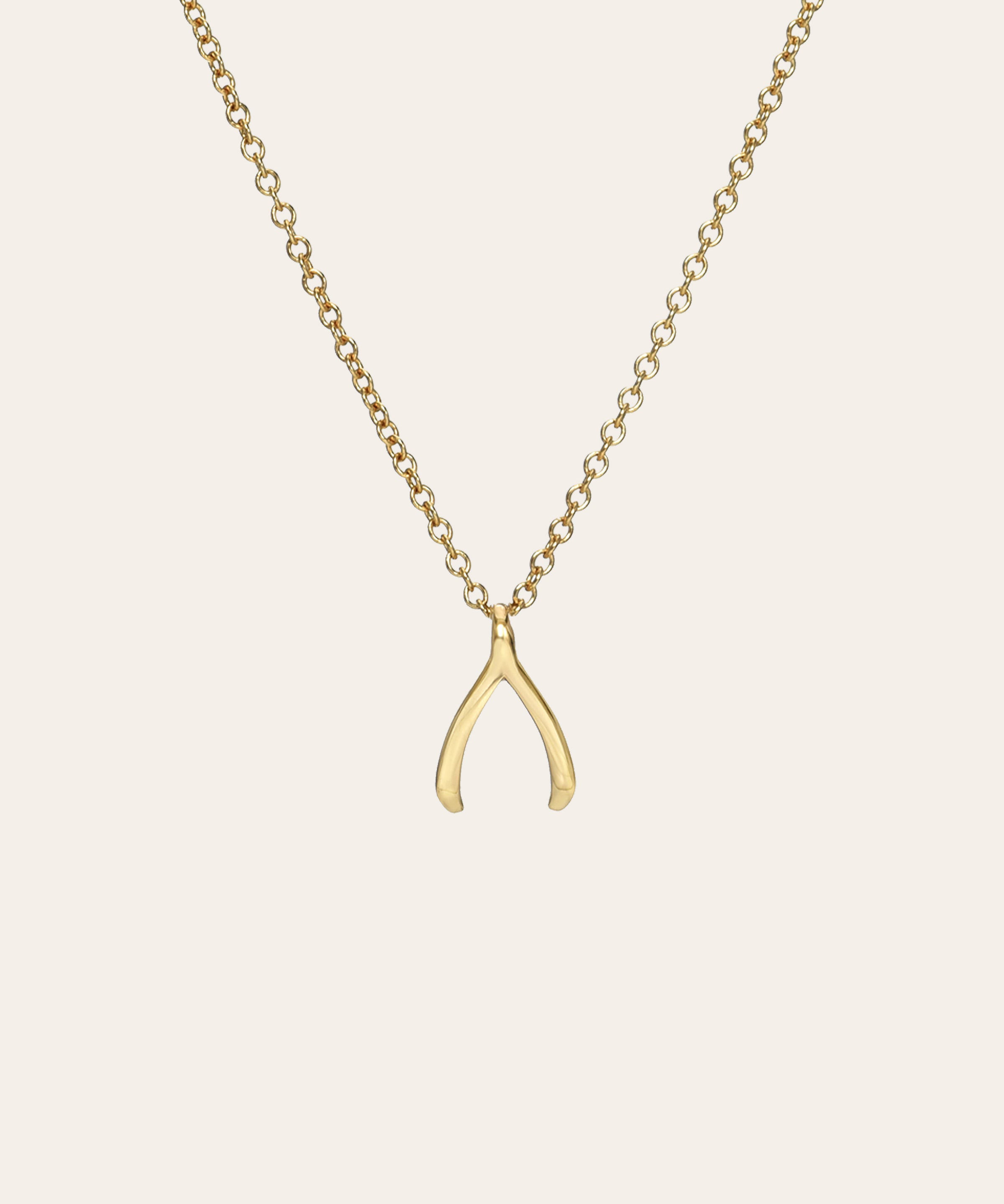 Kids 14k Gold Mini Wishbone Necklace Kids Zoe Lev Jewelry