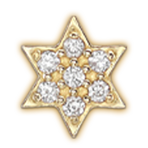 Selected Initials & Charms OPTIONS_HIDDEN_PRODUCT Zoe Lev Jewelry Diamond Star of David