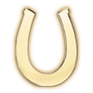 Selected Initials & Charms OPTIONS_HIDDEN_PRODUCT Zoe Lev Jewelry 14K Gold Horseshoe
