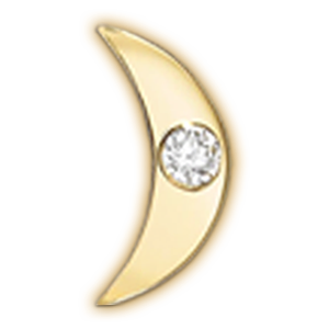 Selected Initials & Charms OPTIONS_HIDDEN_PRODUCT Zoe Lev Jewelry 14K Gold Moon with Tiny Diamond