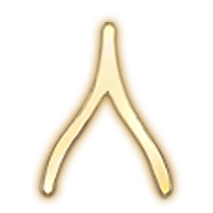 Selected Initials & Charms OPTIONS_HIDDEN_PRODUCT Zoe Lev Jewelry 14K Gold Wish Bone
