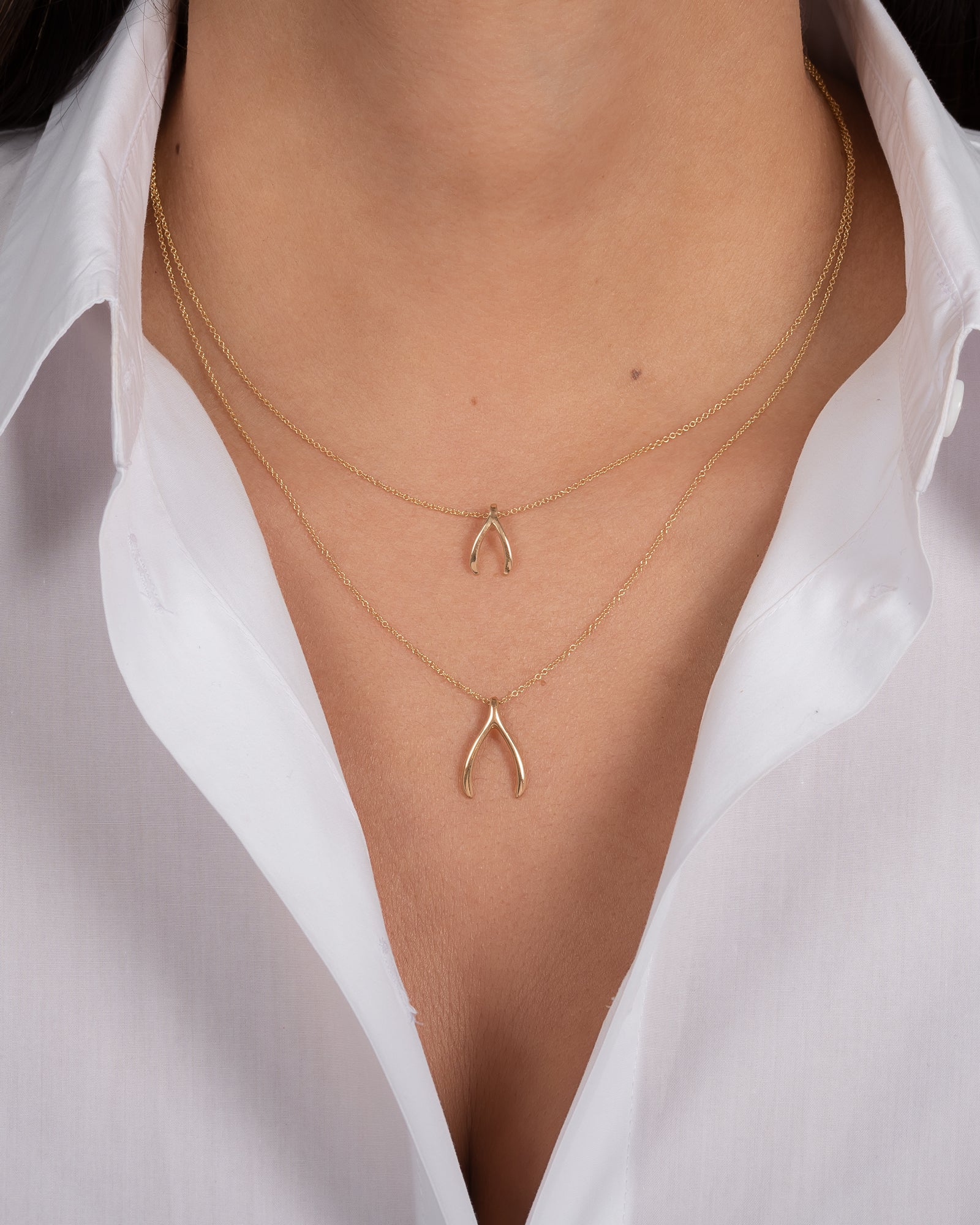 Buy Gold or Silver Wishbone Necklace Small Wishbone Necklace Boho Necklace  Minimalistic Necklace Dainty Wishbone Necklace Online in India - Etsy