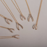 14k Gold Wishbone Necklace Zoe Lev Jewelry